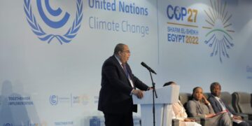 Africa Carbon Markets initiative launched 1 - Egyptian Gazette Africa Carbon Markets initiative launched