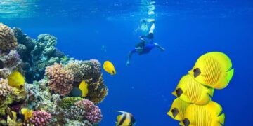 Divers’ paradise on the Red Sea