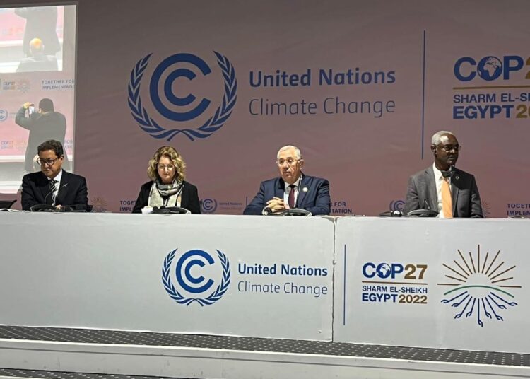 Agriculture minister urges inter-African cooperation in face of climate change 1 - Egyptian Gazette