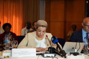 Environment minister: Food, health initiatives tackled by COP27 for 1st time 3 - Egyptian Gazette