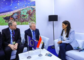 Egypt, US discuss co-operation to support “NWFE” program