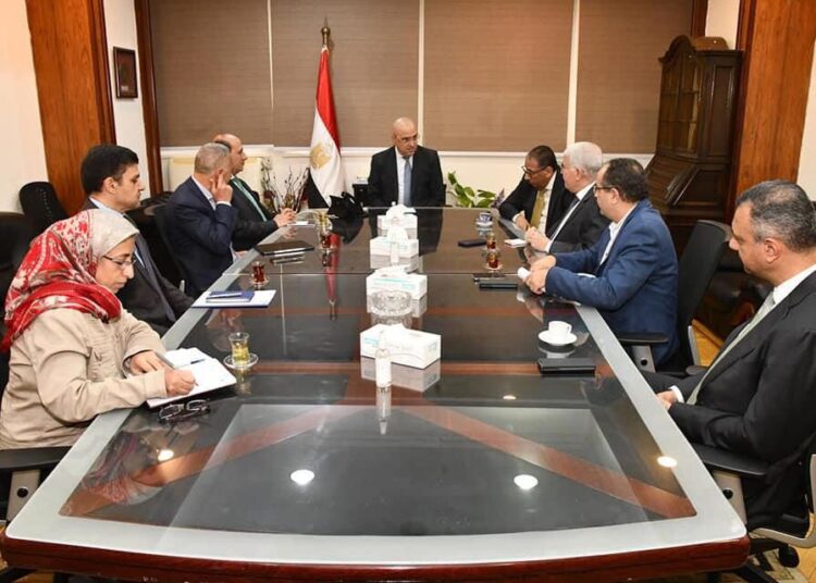 Housing minister follows up on work progress in "Julius Nyerere" Hydropower Plant and Dam in Tanzania 1 - Egyptian Gazette