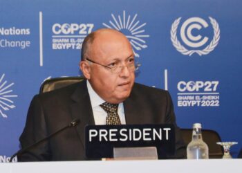 FM expounds Egypt’s vision for negotiating tracks at COP27