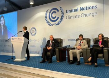 Mahmoud Mohieldin stresses necessity of financing mitigation, adaptation measures equally