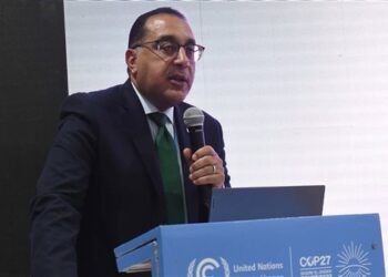PM launches voluntary carbon markets platform at COP27