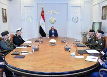 Sisi reviews East of Alexandria development plan