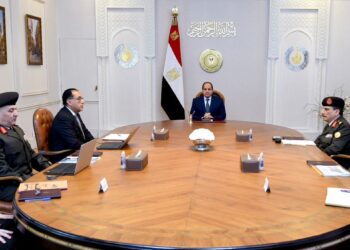 Sisi assesses IPO plan for shares of army’s companies