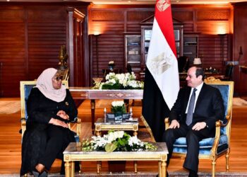 Sisi meets Tanzanian president on fringe of COP27