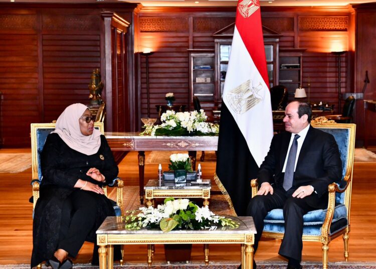Sisi meets Tanzanian president on fringe of COP27 1 - Egyptian Gazette