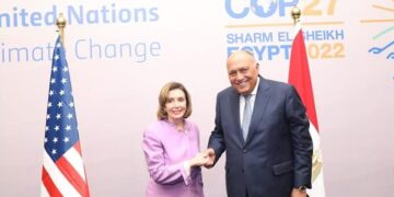 Egypt’s FM asserts importance of strategic ties with US