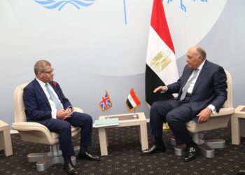 Egypt’s FM receives COP26 President