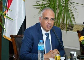 236 projects to be implemented in Upper Egypt governorates in FY 2022/23: Irrigation min.
