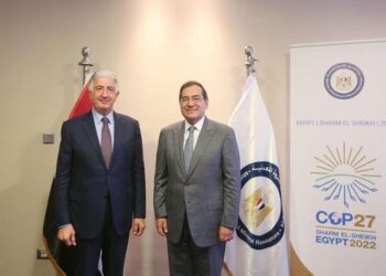 Egypt was the only Arab country to achieve positive growth during coronavirus crisis