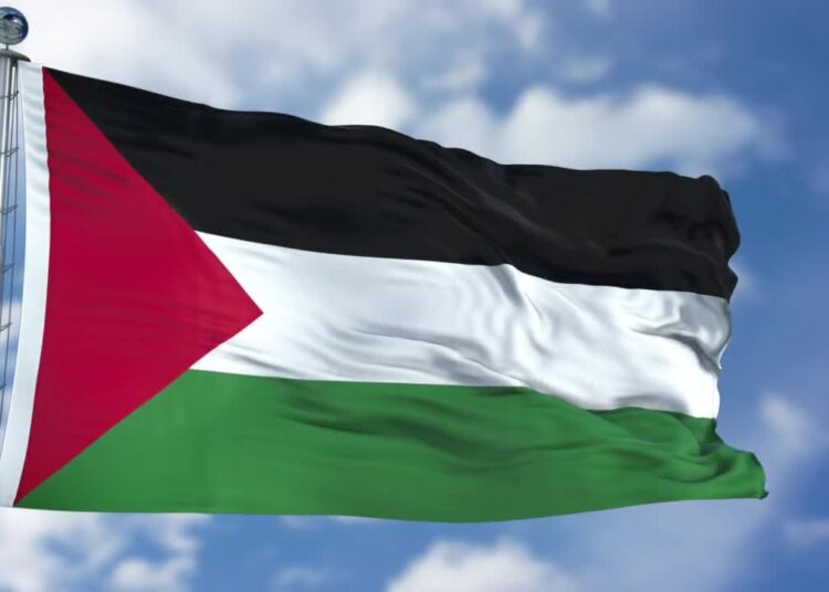 Israel detains 13 Palestinians in West Bank 1 - Egyptian Gazette