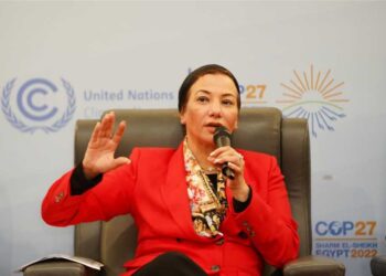 Youth session of COP 27 conference starts