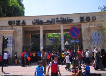 Agriculture Ministry denies news on closure of Giza Zoo