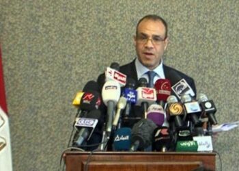 Egyptian ambassador urges EU to support Egypt to face Ukrainian crisis