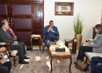 President Sisi keen on finalizing ‘Decent Life’ projects: Local development min.
