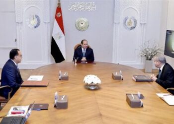 Sisi orders action to maintain reserves of basic foodstuffs
