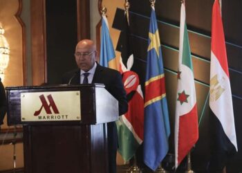 VICMED project meant to achieve development in Africa, says minister