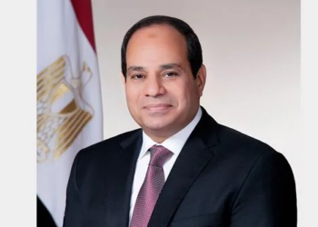President Sisi greets expats on New Year
