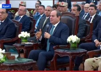 Sisi: State keen on enhancing local production of strategic commodities to reduce dollar high demand