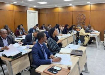Institute of Diplomatic Studies organises training course for African diplomats