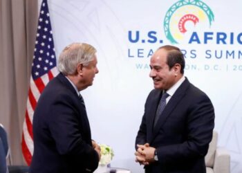 `Egypt sustains its strenuous efforts to contribute to settling regional crises`