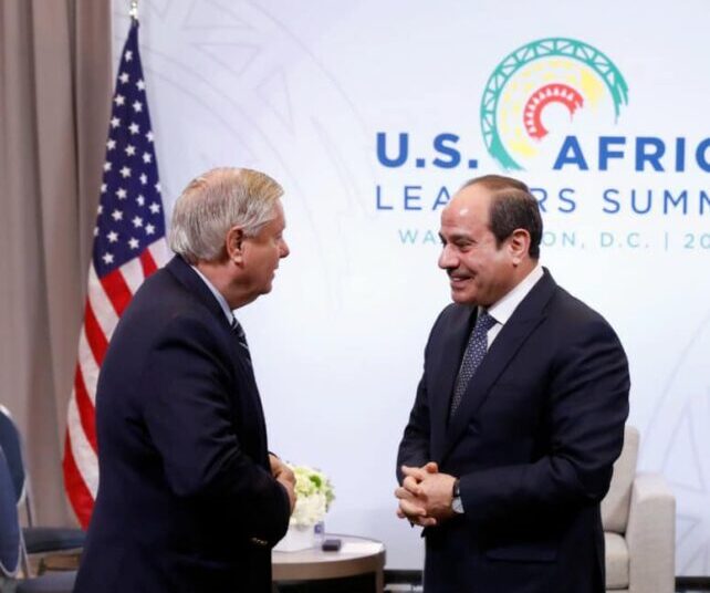 `Egypt sustains its strenuous efforts to contribute to settling regional crises` 2 - Egyptian Gazette `Egypt sustains its strenuous efforts to contribute to settling regional crises` 1 - Egyptian Gazette