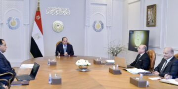 Sisi orders establishing family care fund