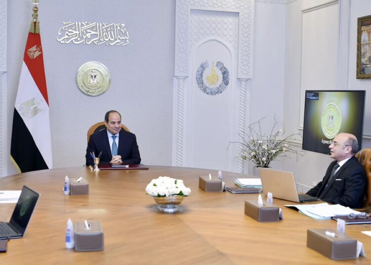 Sisi probes technical development of National Authority for Social Insurance 1 - Egyptian Gazette