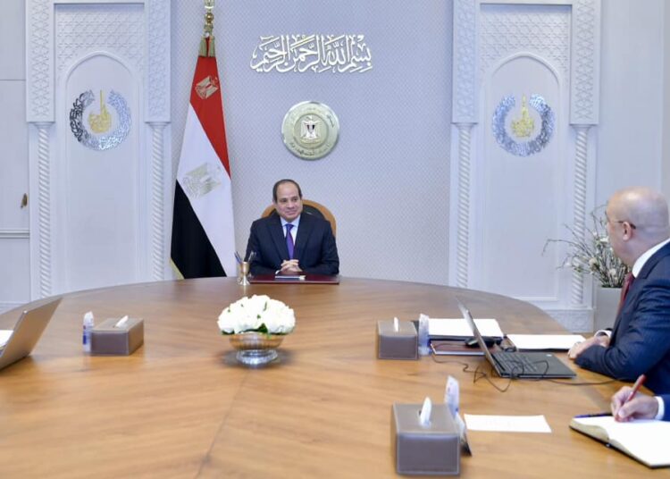 Housing minister briefs Sisi on results of Egypt's delegation's visit to Tanzania 1 - Egyptian Gazette