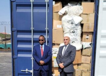 Egypt sends food, medical aid to Somalia: Foreign Ministry