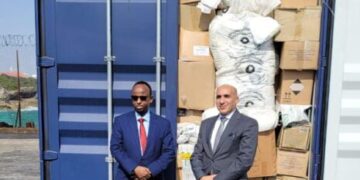 Egypt sends food, medical aid to Somalia: Foreign Ministry