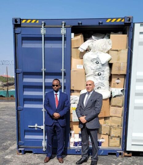 Egypt sends food, medical aid to Somalia: Foreign Ministry 1 - Egyptian Gazette