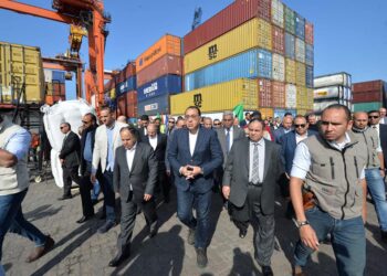 Efforts under way to release piling goods at ports: PM