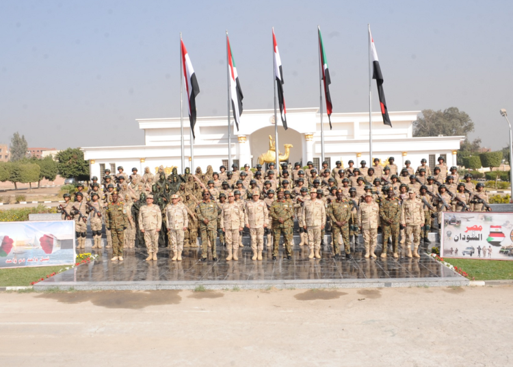 “Guardian of the South-2” military exercise concluded 2 - Egyptian Gazette “Guardian of the South-2” military exercise concluded 1 - Egyptian Gazette