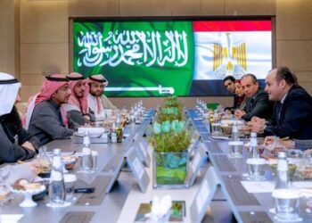 Cairo, Riyadh keen to boost trade, investment ties