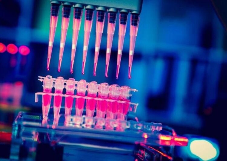 UK medics laud world-first treatment for resistant leukaemia 2 - Egyptian Gazette UK medics laud world-first treatment for resistant leukaemia 1 - Egyptian Gazette