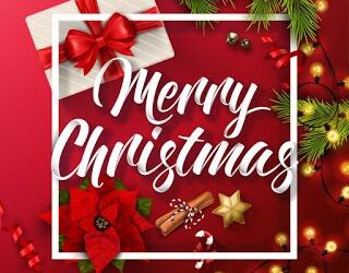 Sisi delegates presidential chamberlains to offer Christmas greetings