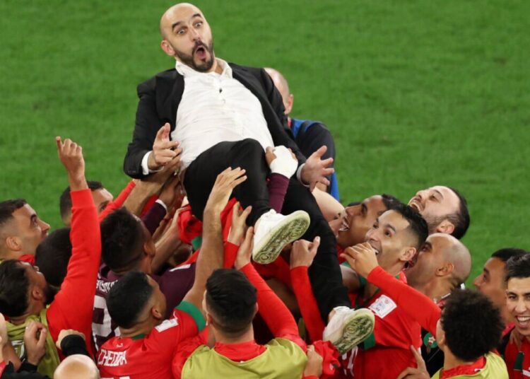 African team to win W. Cup in '15-20 years', says Morocco coach 1 - Egyptian Gazette