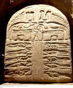 Sole Egyptian museum for an animal 7 - Egyptian Gazette