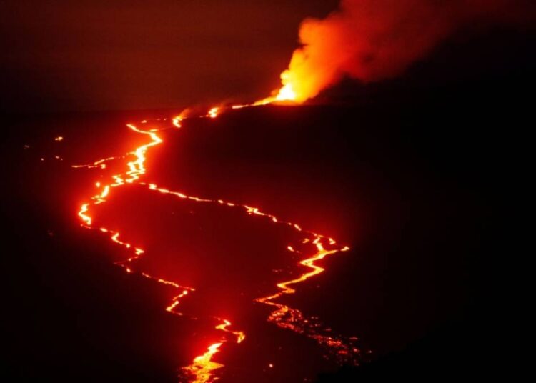 USGS: Hawaii’s Mauna Loa volcano alert level lowered to watch 2 - Egyptian Gazette USGS: Hawaii’s Mauna Loa volcano alert level lowered to watch 1 - Egyptian Gazette