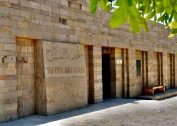 Sole Egyptian museum for an animal