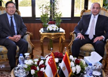 Cairo, Singapore keen to boost co-operation in air transport