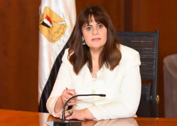 Gov’t works on removing obstacles facing customs release of expats’ cars – Emigration min.