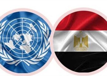 Egypt, UN mark IVD; shed light on contributions of volunteers