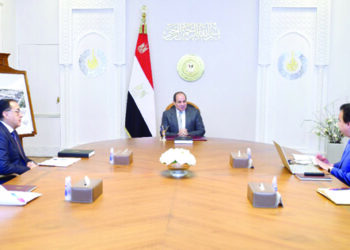 Sisi calls for upgrading performance, expanding outreach of basic healthcare units nationwide