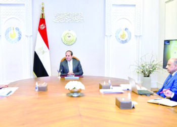 Sisi urges maintaining efforts to develop public business sector
