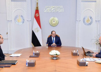 Sisi reviews ongoing efforts to develop ports